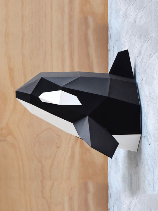 Kosatka YAAY CONCEPT STORE